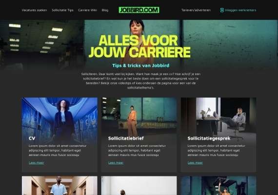 job-hundting-website-jobbirds