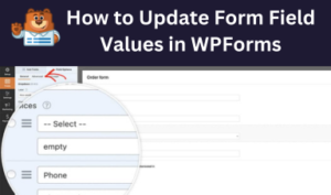 form-fields-values-13850