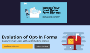 email-opt-in